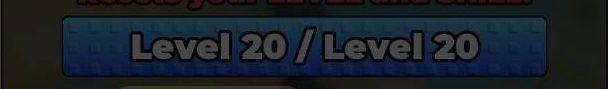 Level bar showing MAX LEVEL at Level 20