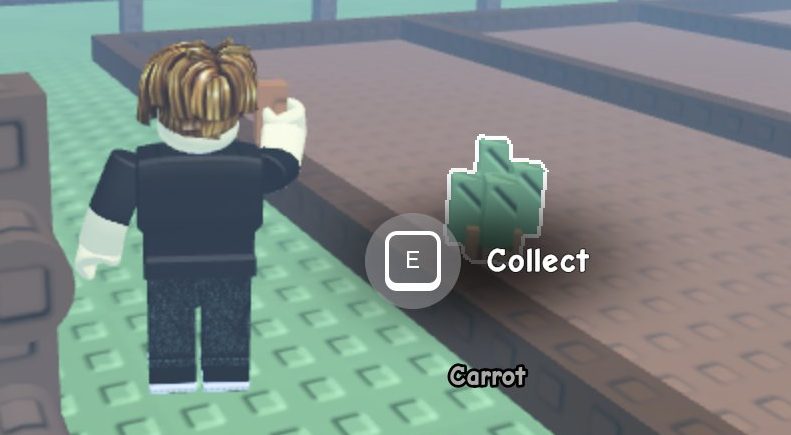 Press E when the Collect prompt appears